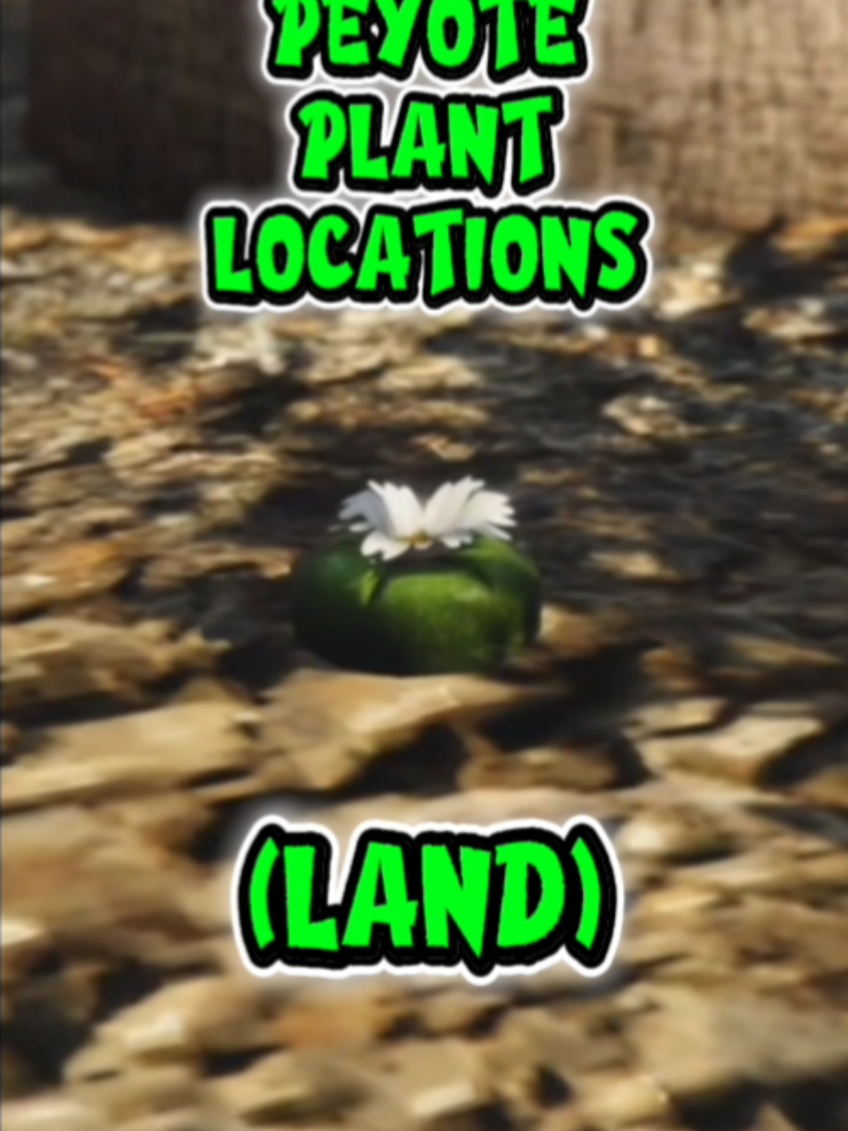 @S̶M̶O̶D̶Z̶