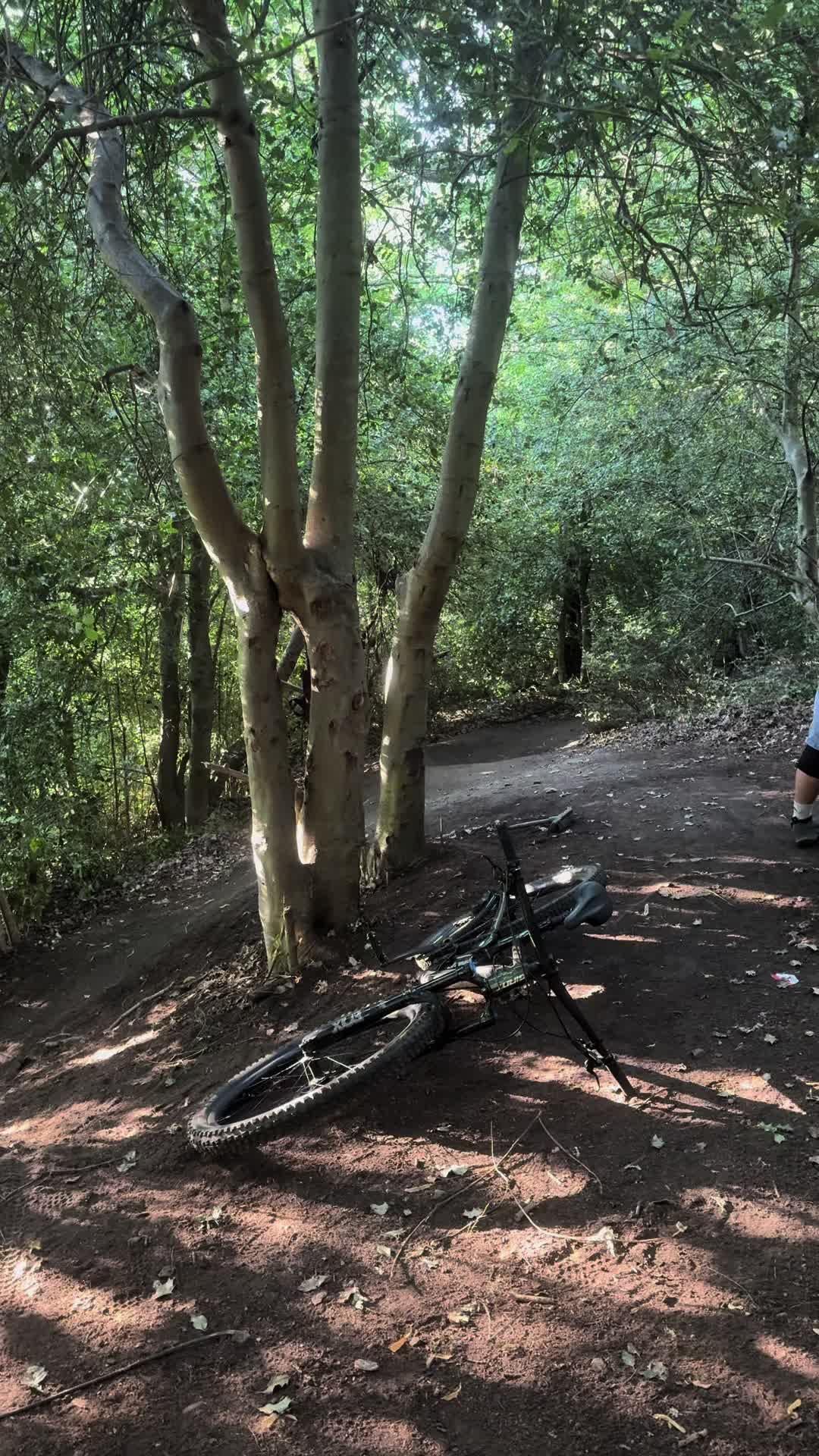 @Oli.hodgson 123
