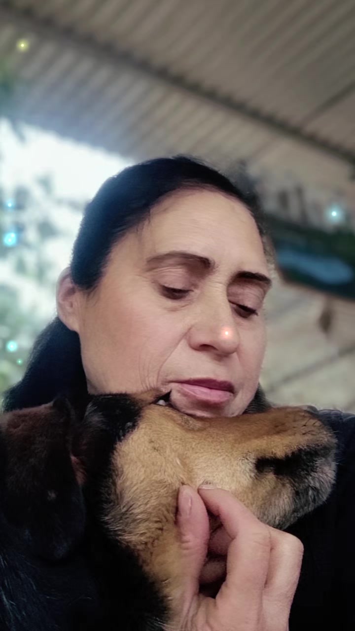 @Greek Animal Rescue