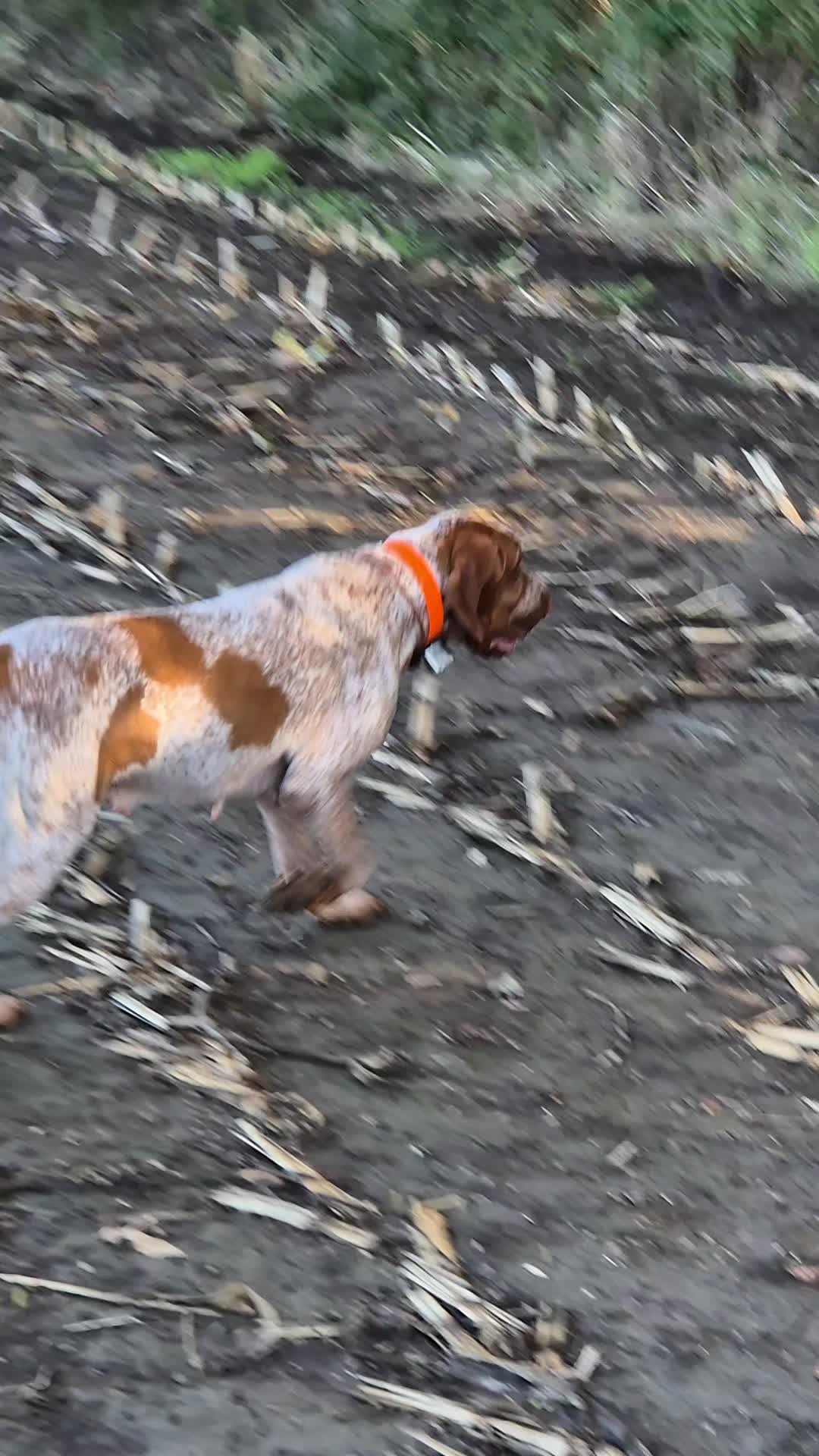 @Mathilde Brnd