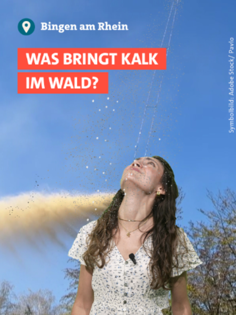 @SWR Aktuell