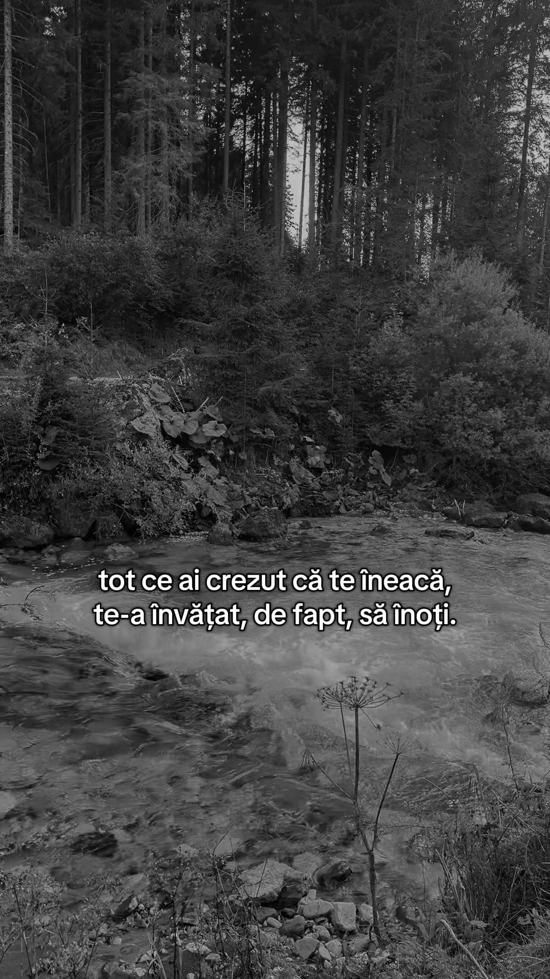 @Aura Mureșan