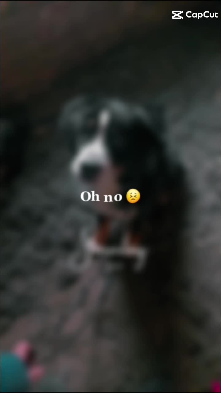 @nur_seine_frau🫀💍