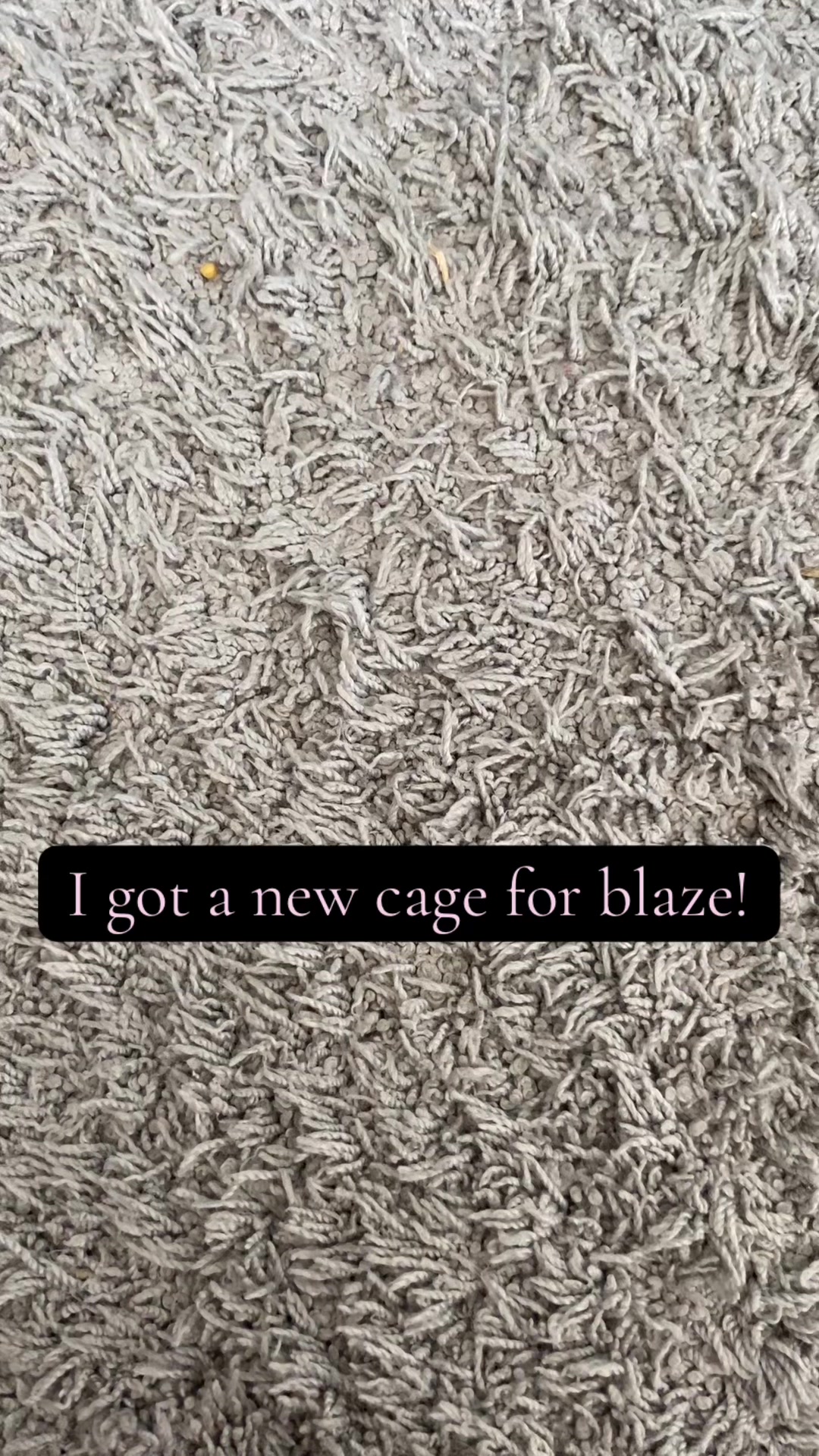 @Blaze🫶🏻
