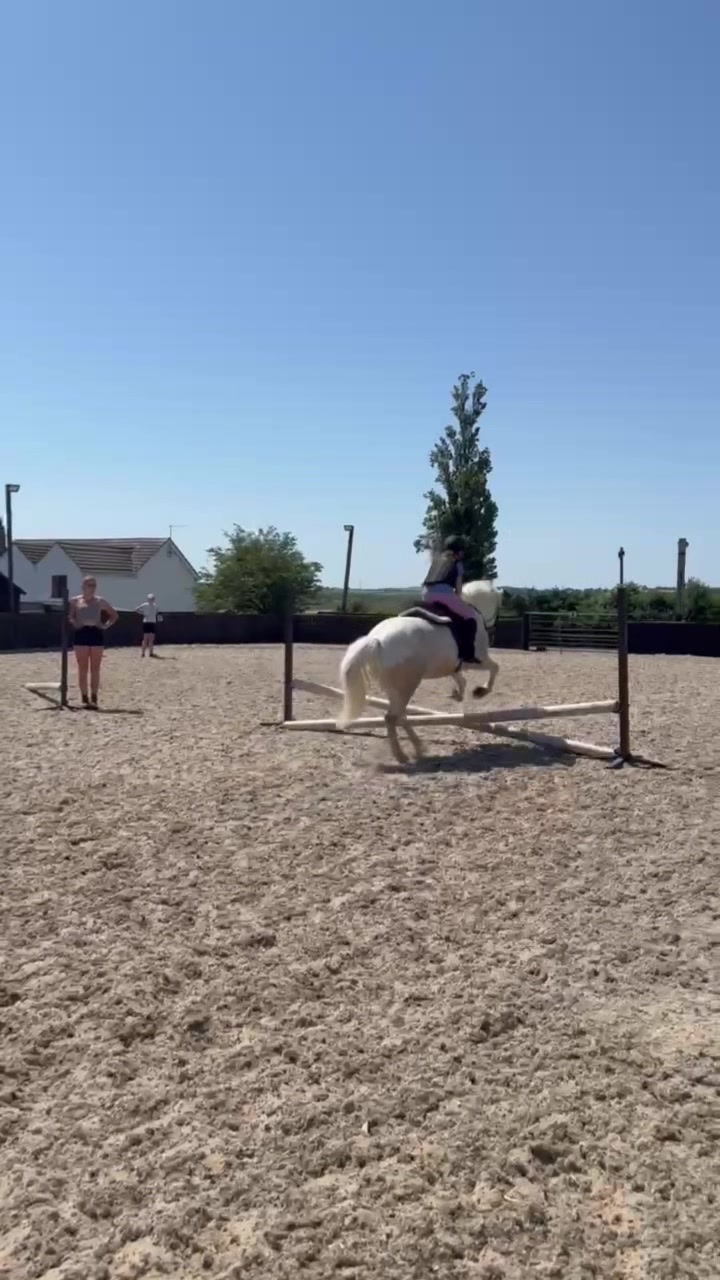 @LottiesHorseAdventures🦄🐴