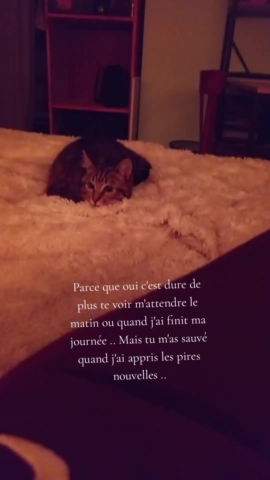@Océane