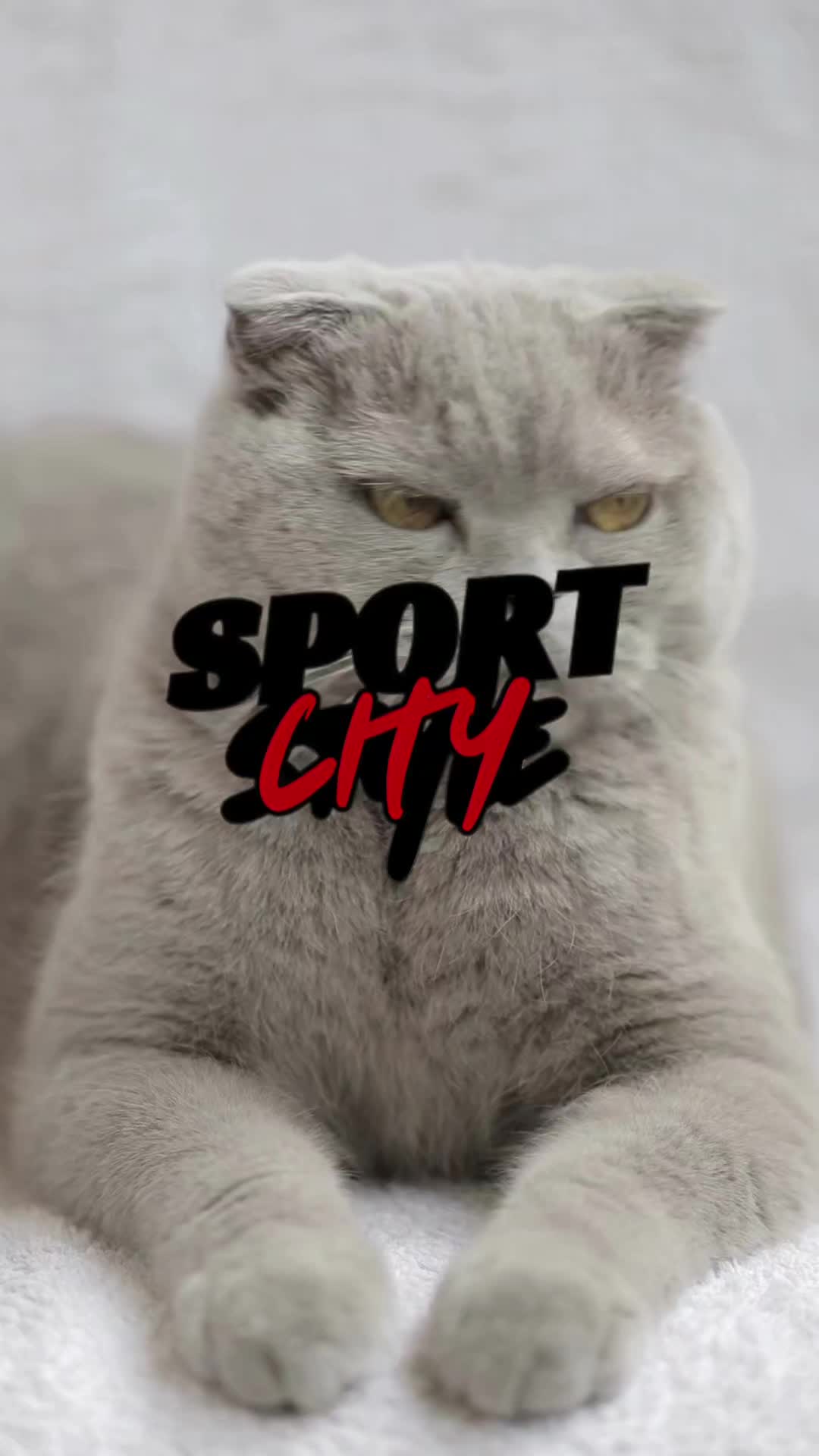 @SportCity Eger