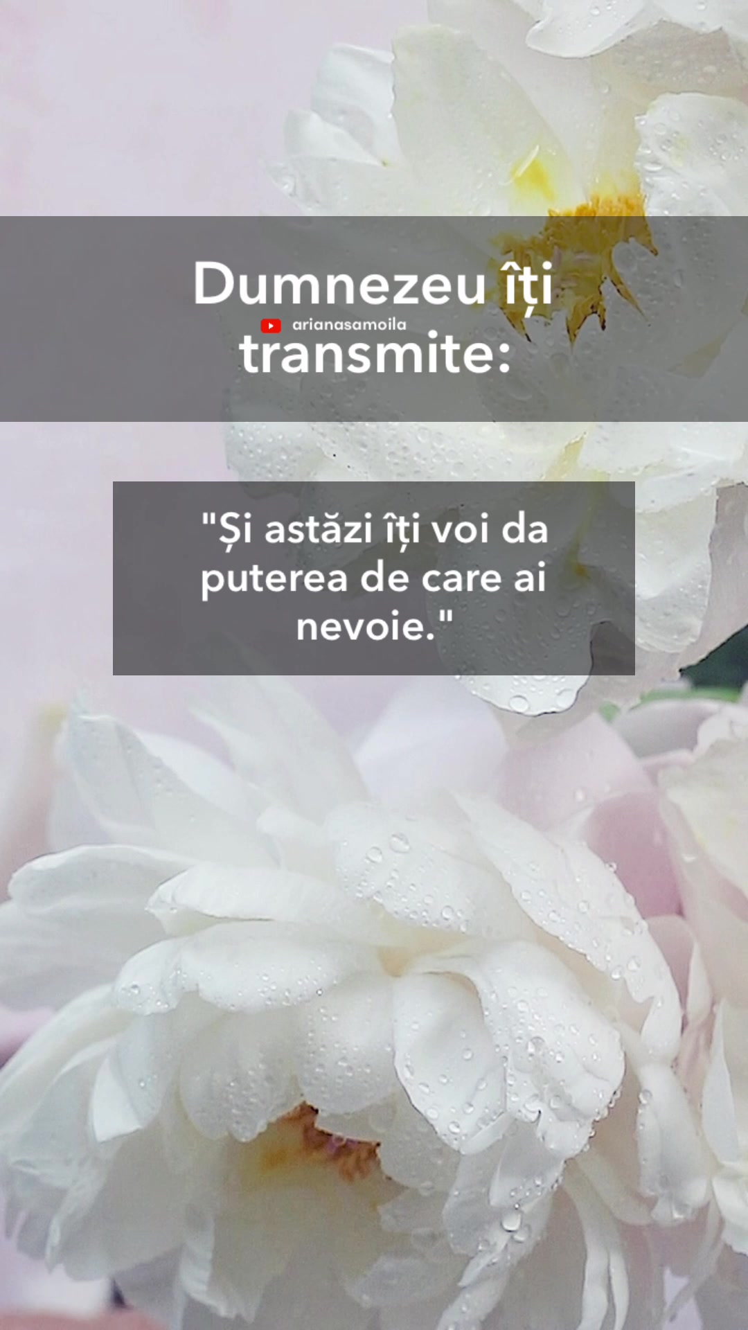 @Ariana Samoilă