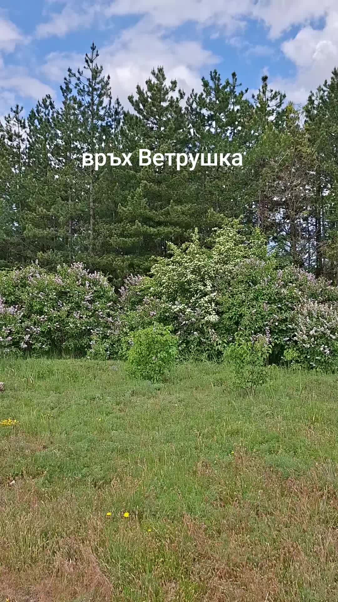 @Nedelin Bozhinov