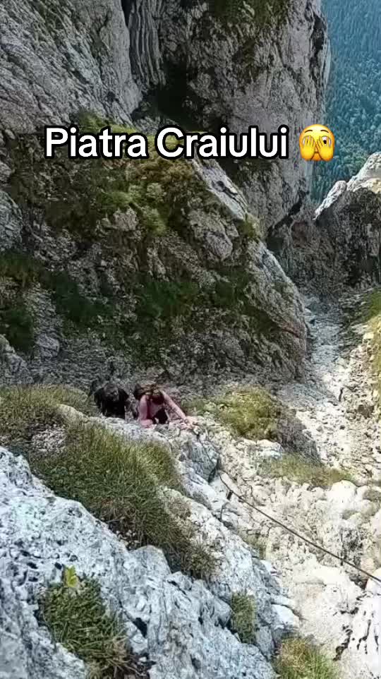 @fragil_la_scroll
