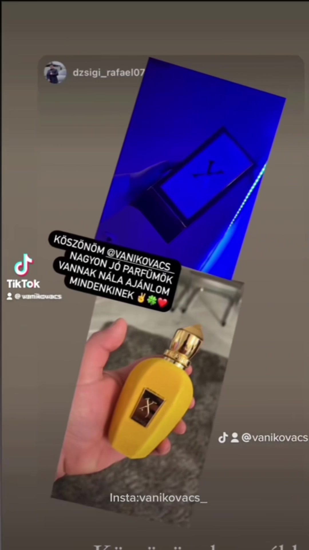 @ᴠᴀɴᴇꜱꜱᴀ