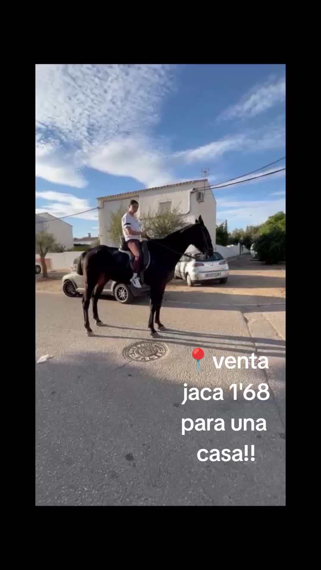 @antoncampos23