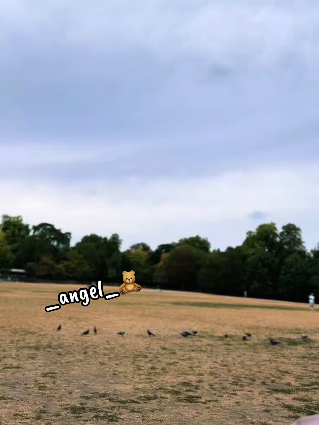 @_Angel_🧸