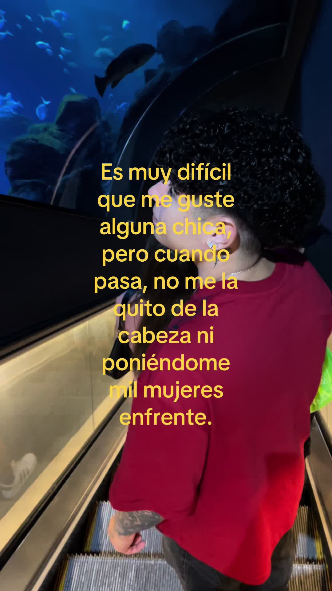@Crismeisonvc