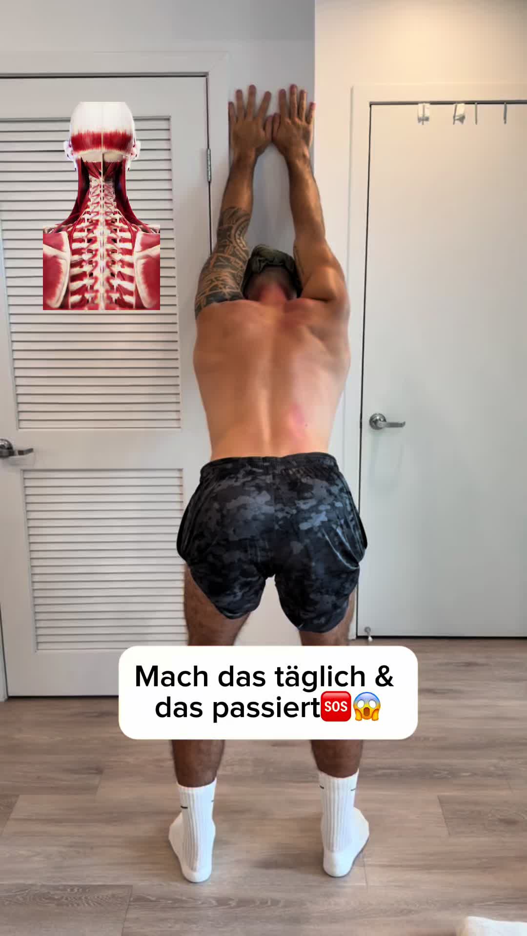 @Mr.High Level- Roll&rsquo;s weg