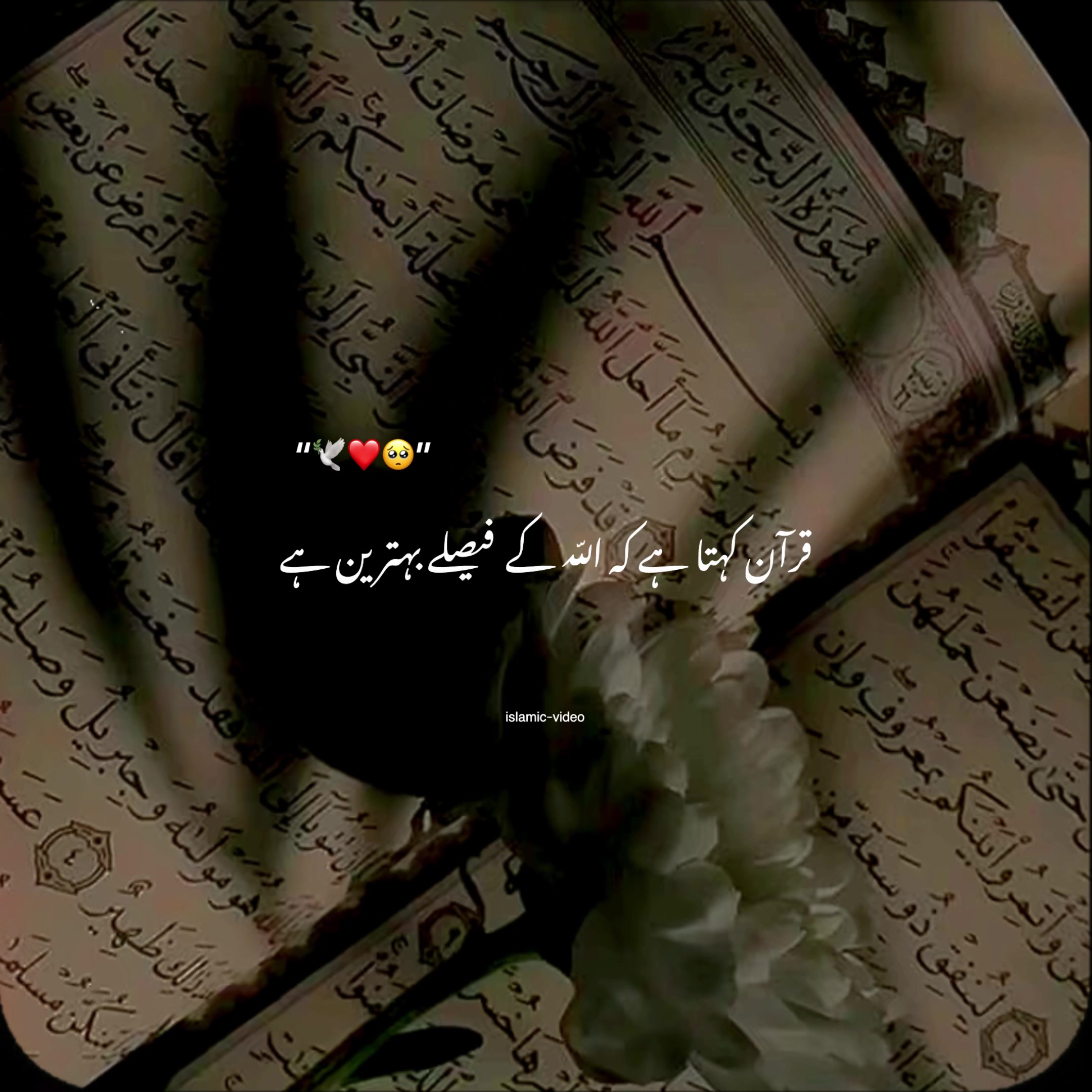 @𝙄𝙨𝙡𝙖𝙢𝙞𝙘 𝙫𝙞𝙙𝙚𝙤🤍🕊️