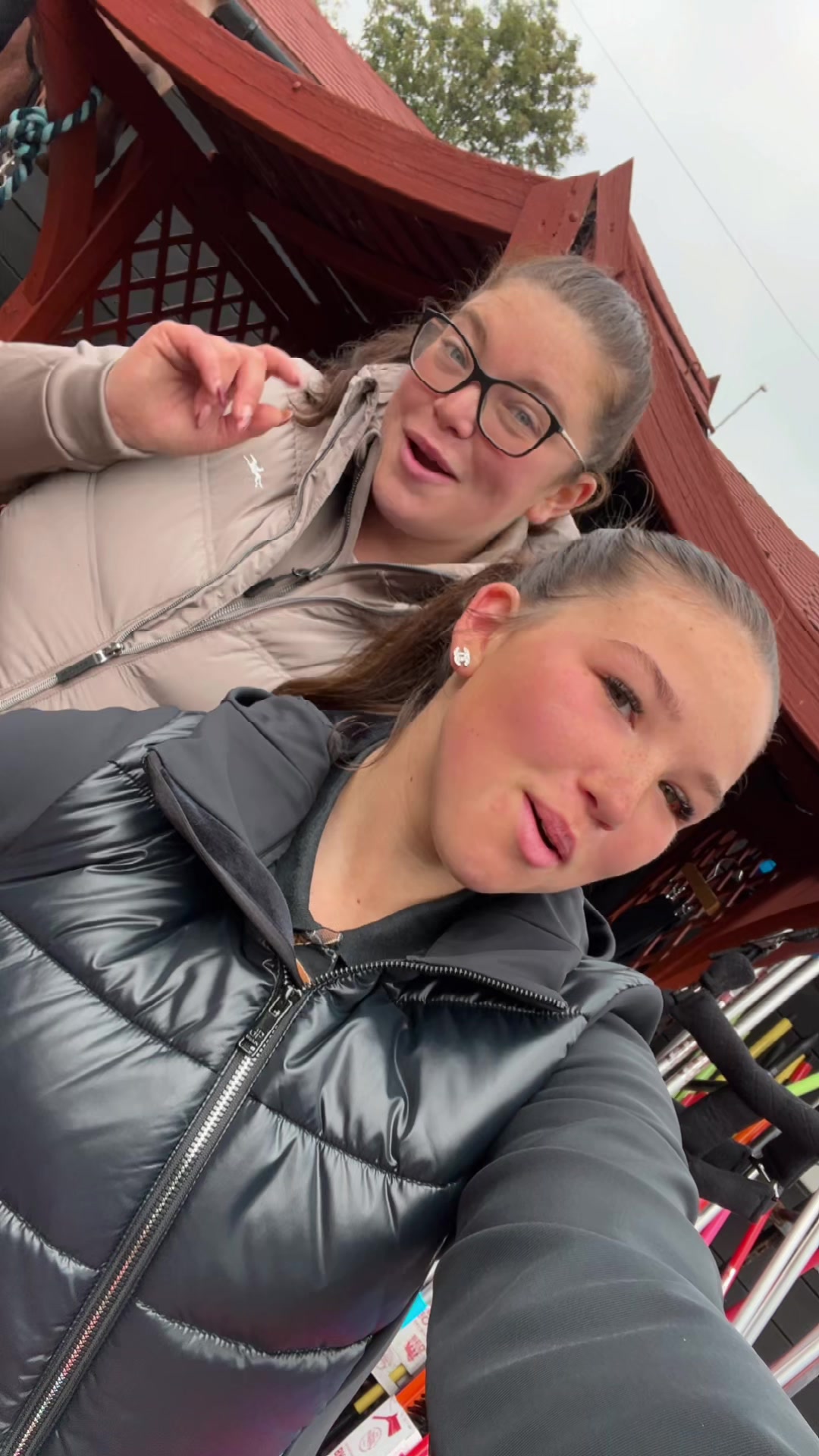 @Horseworld Gateshead