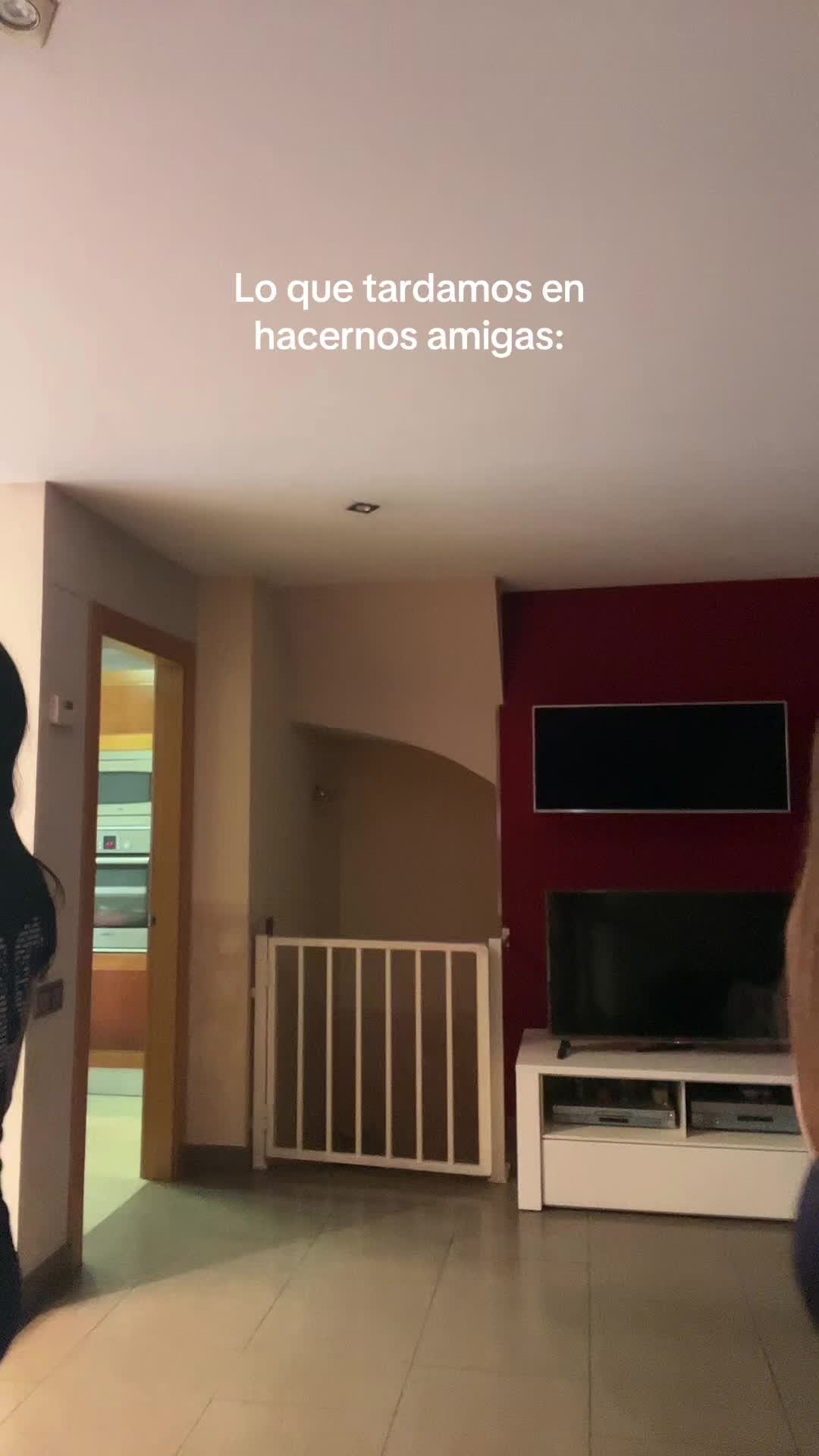 @zzz2016