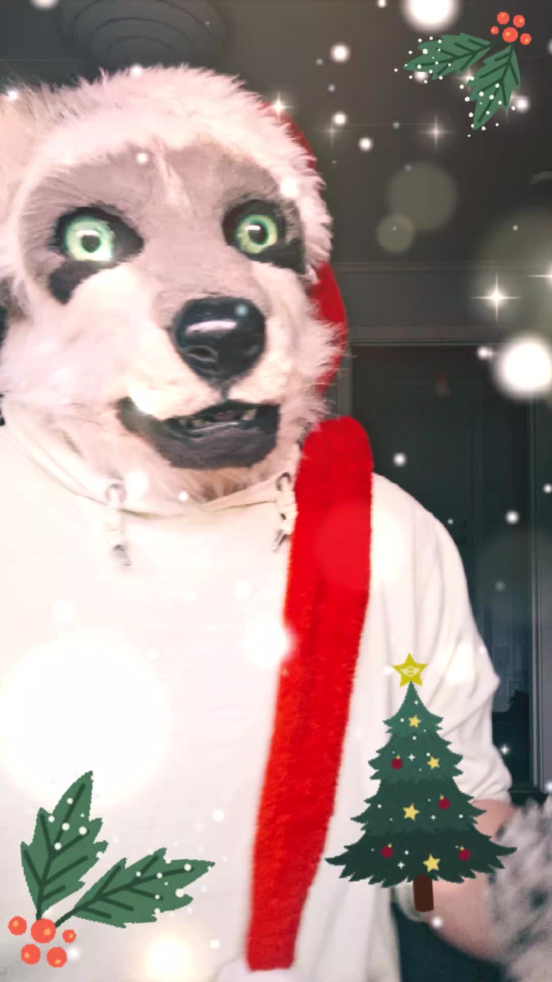 @ℂ/𝕃 🌟