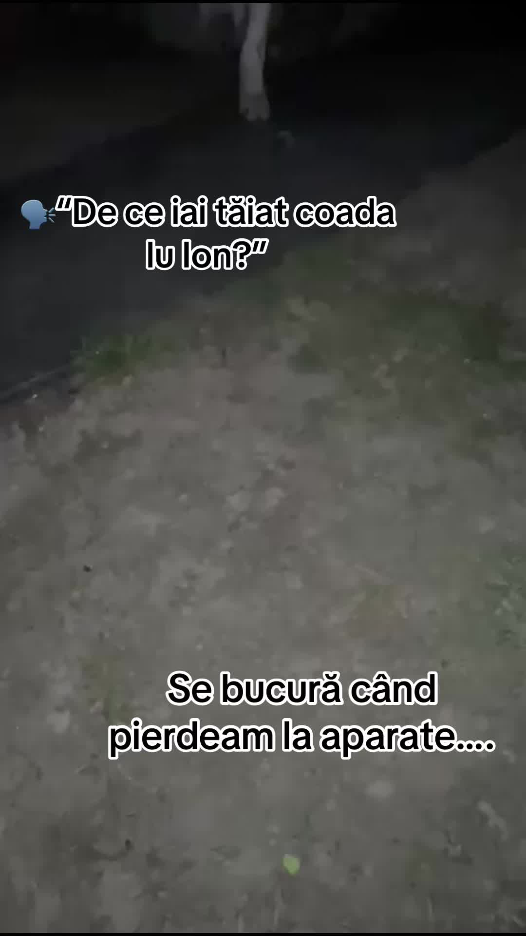 @Amansio💎🥷