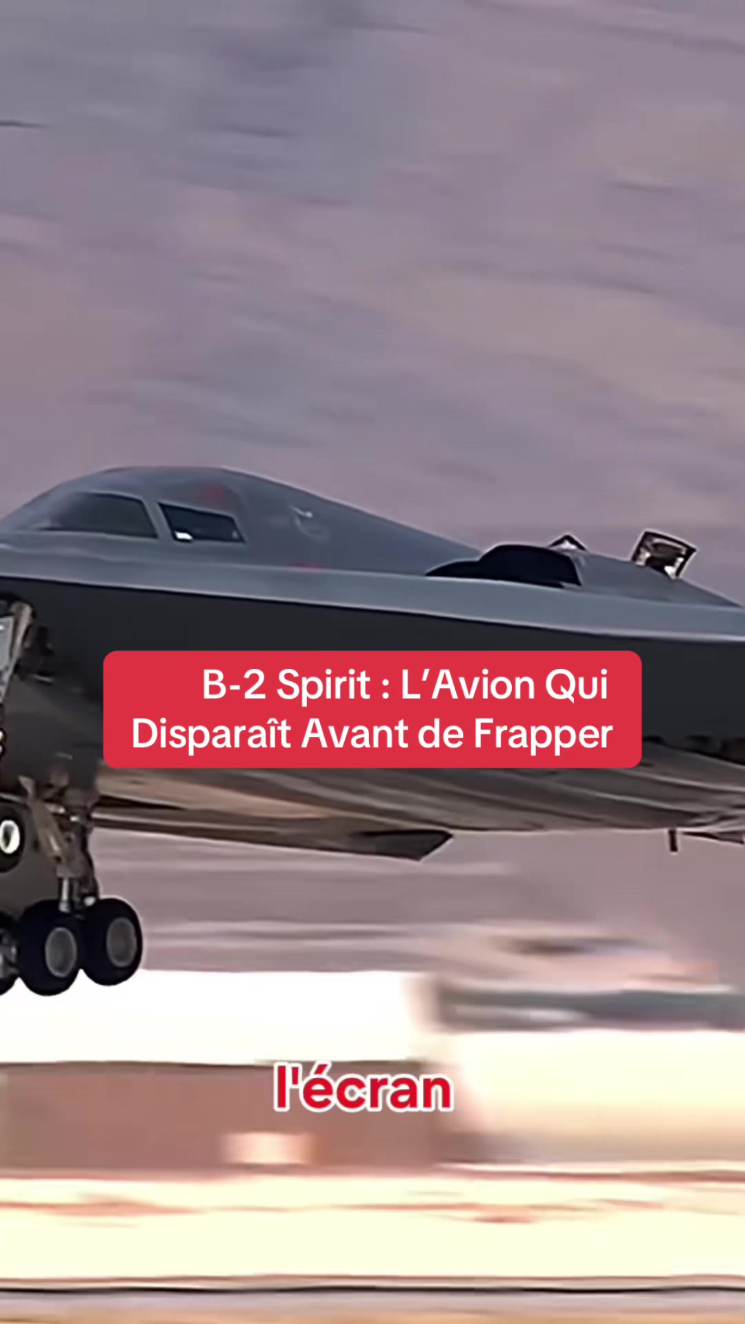@Spirit Rare ✈️