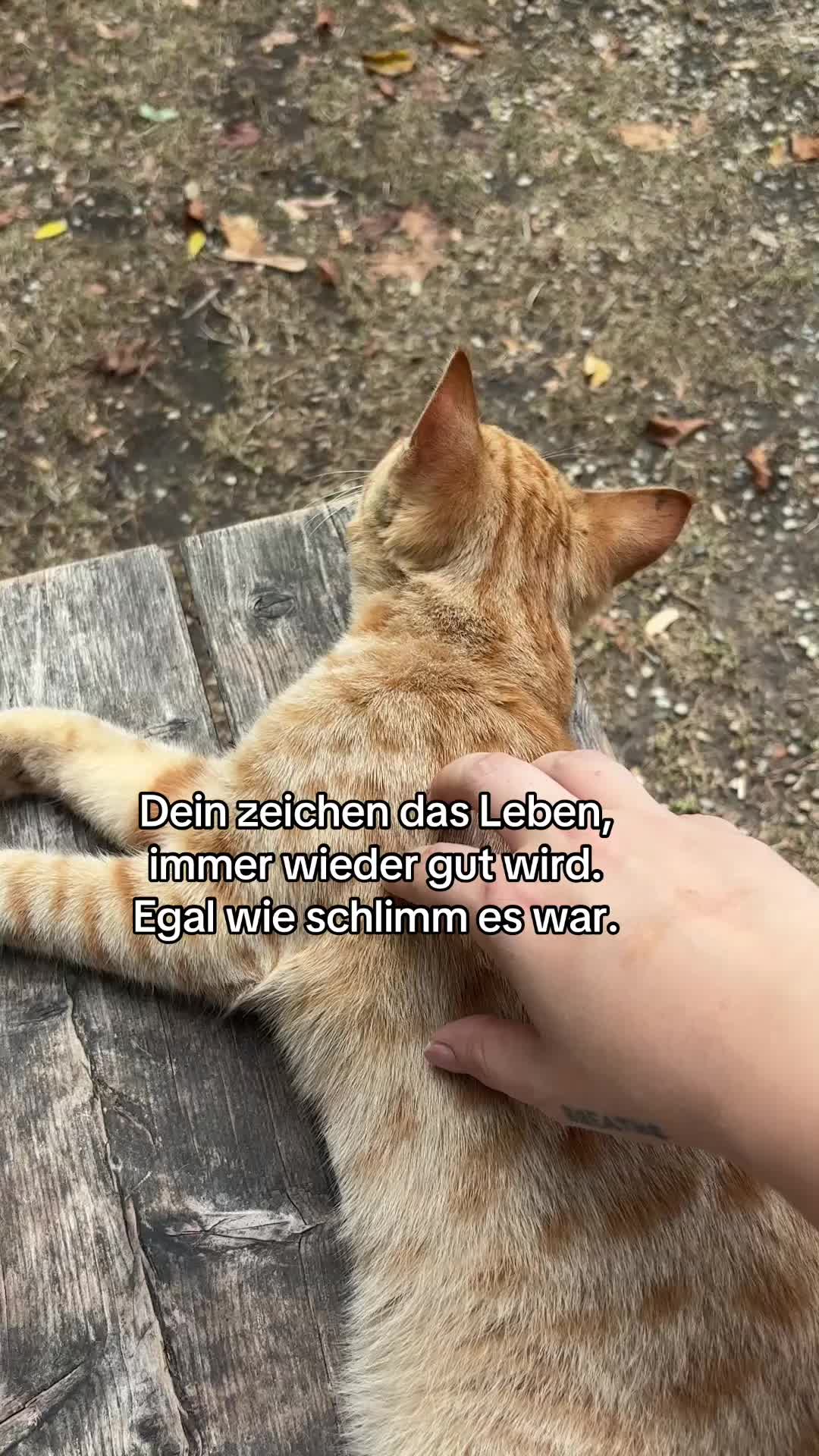 @Jummymum