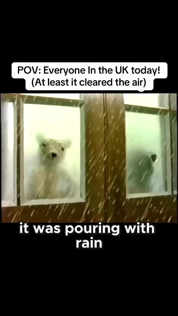 @OldBearSquad