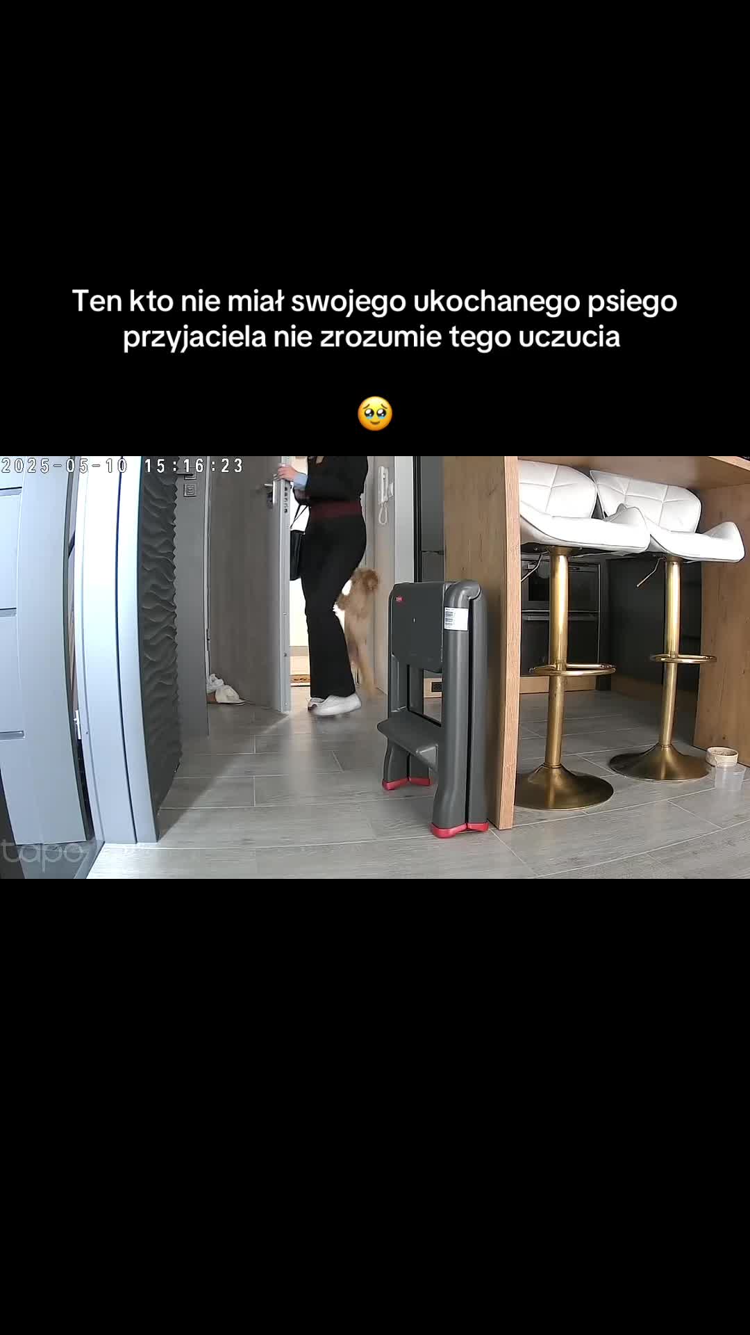 @Zuzanna Sosińska🤍✨