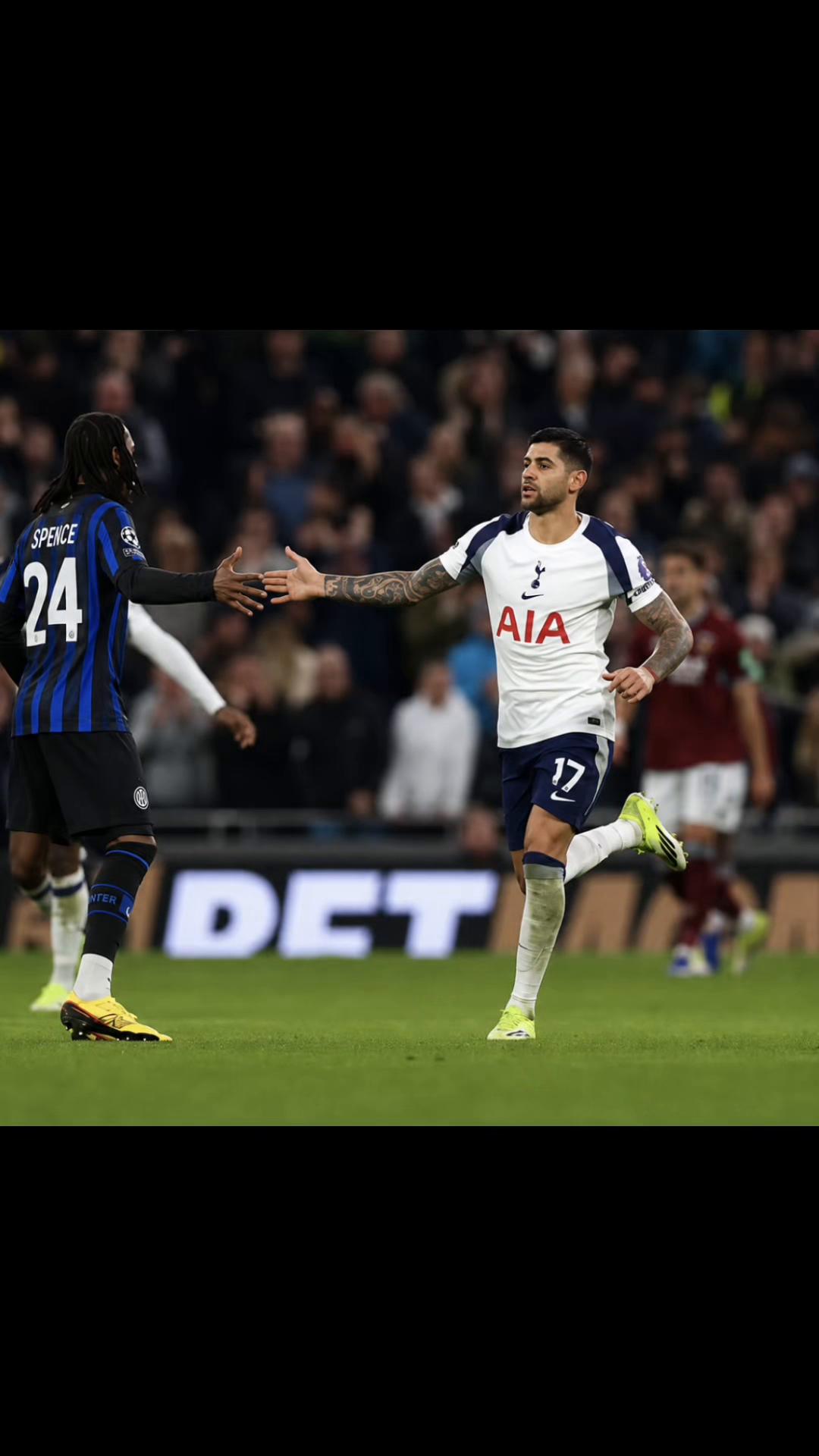 @thfc.teddy