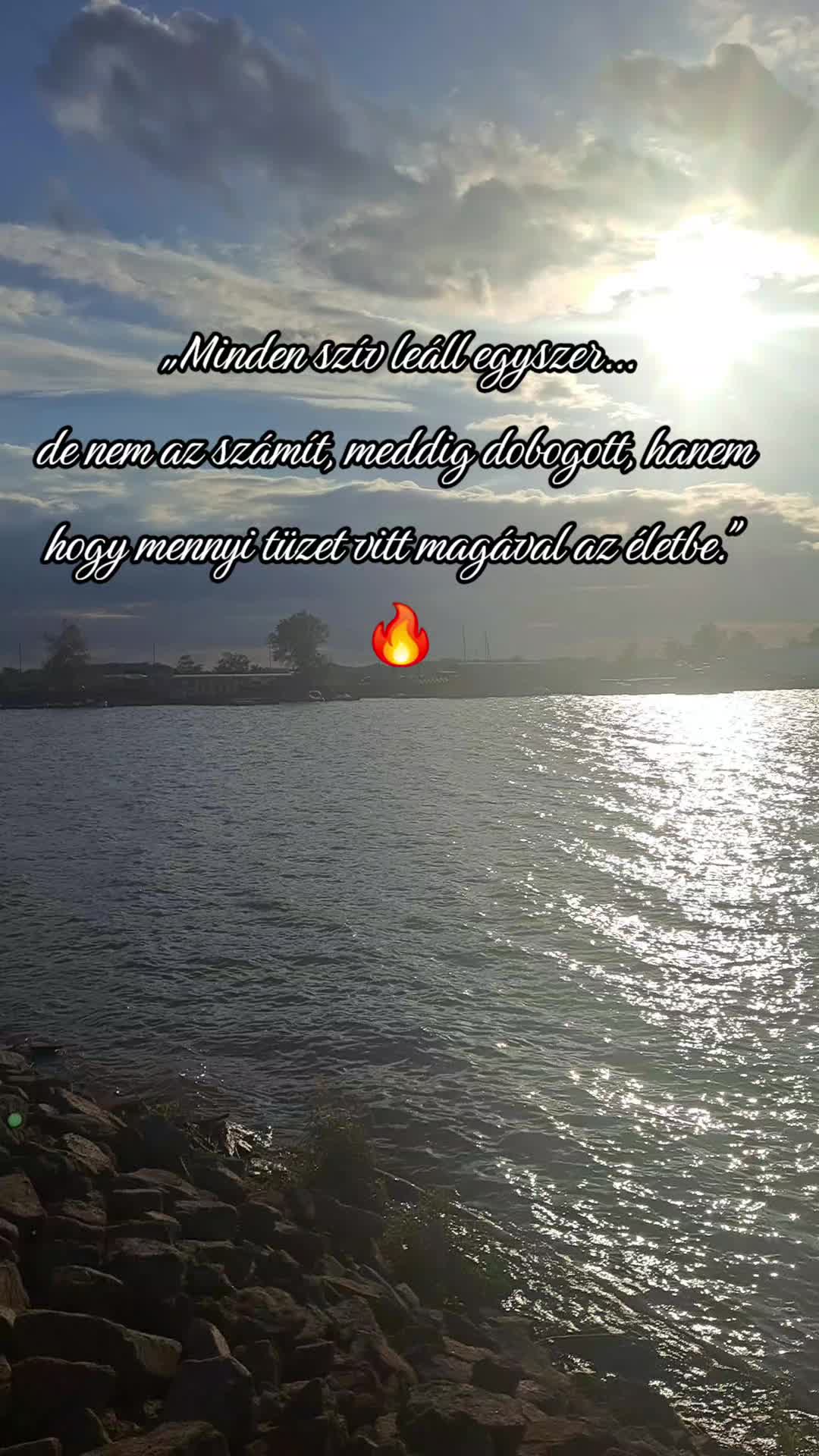 @👑Picisárika👑