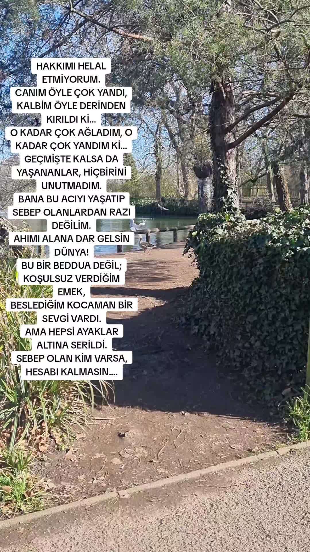 @Ay__nature