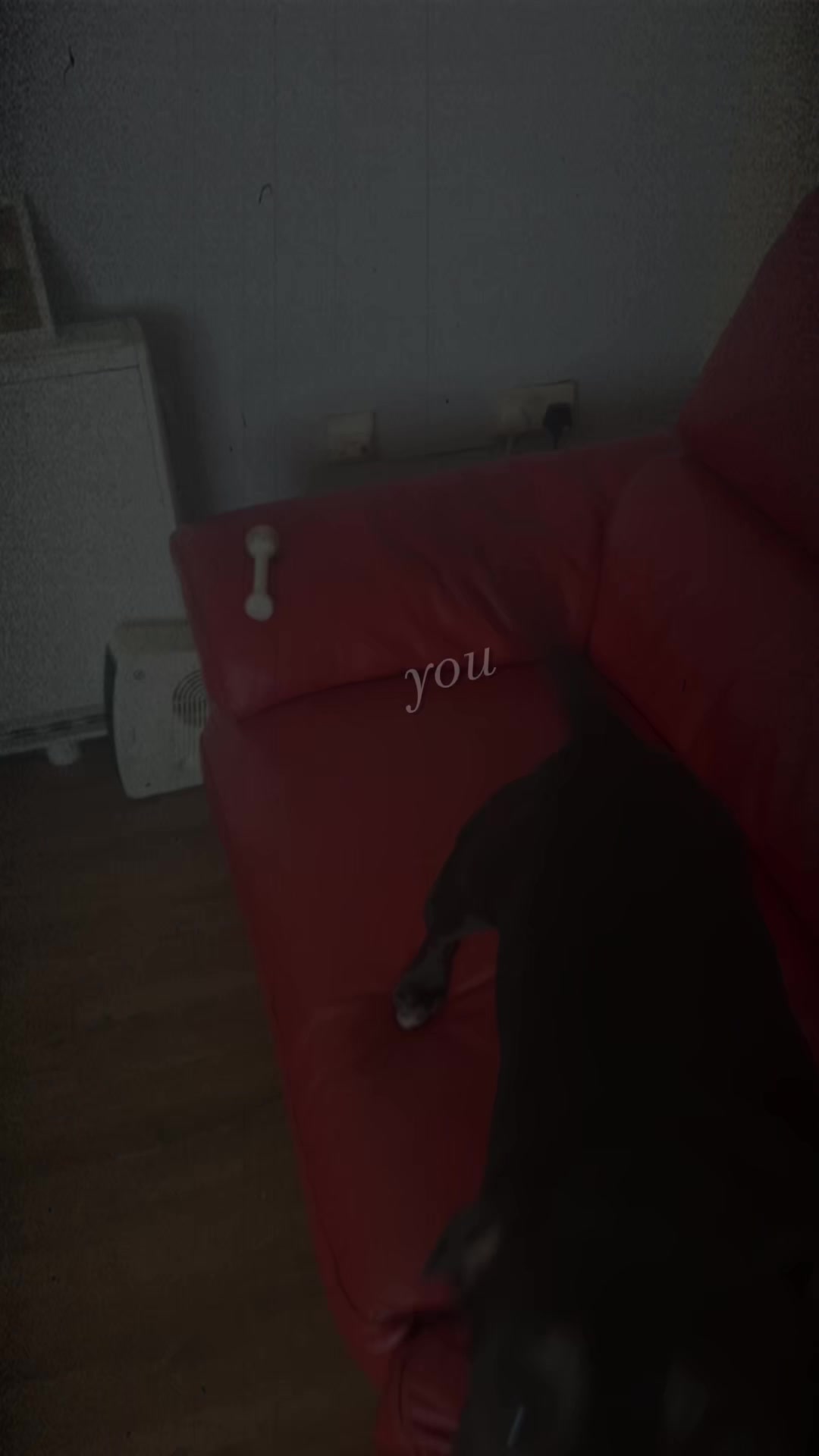 @Jennifer Cairney