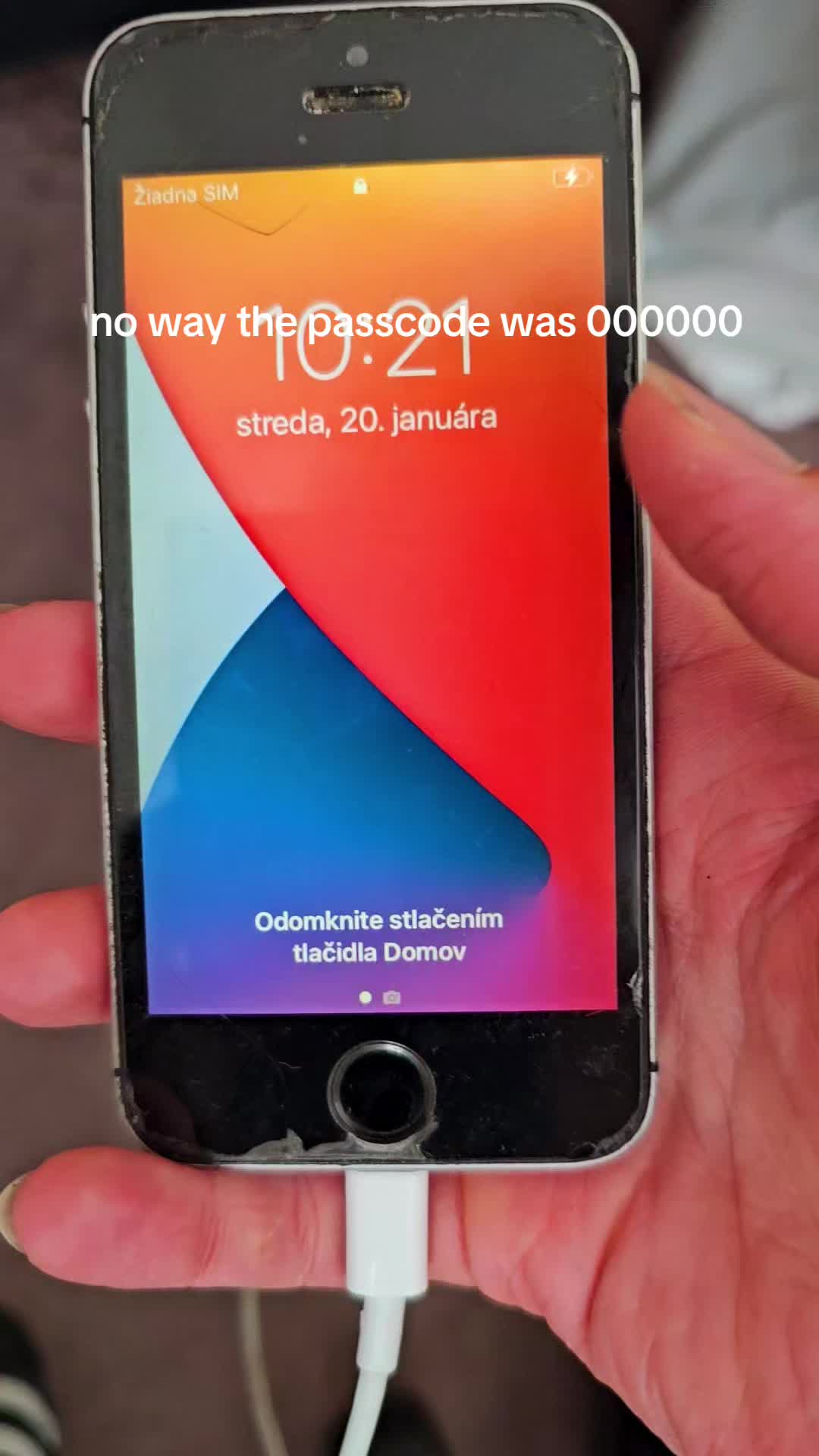@Qpoda