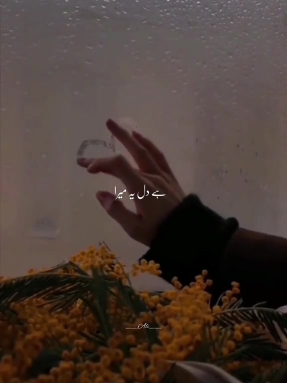 @Laiba 🫶🏼