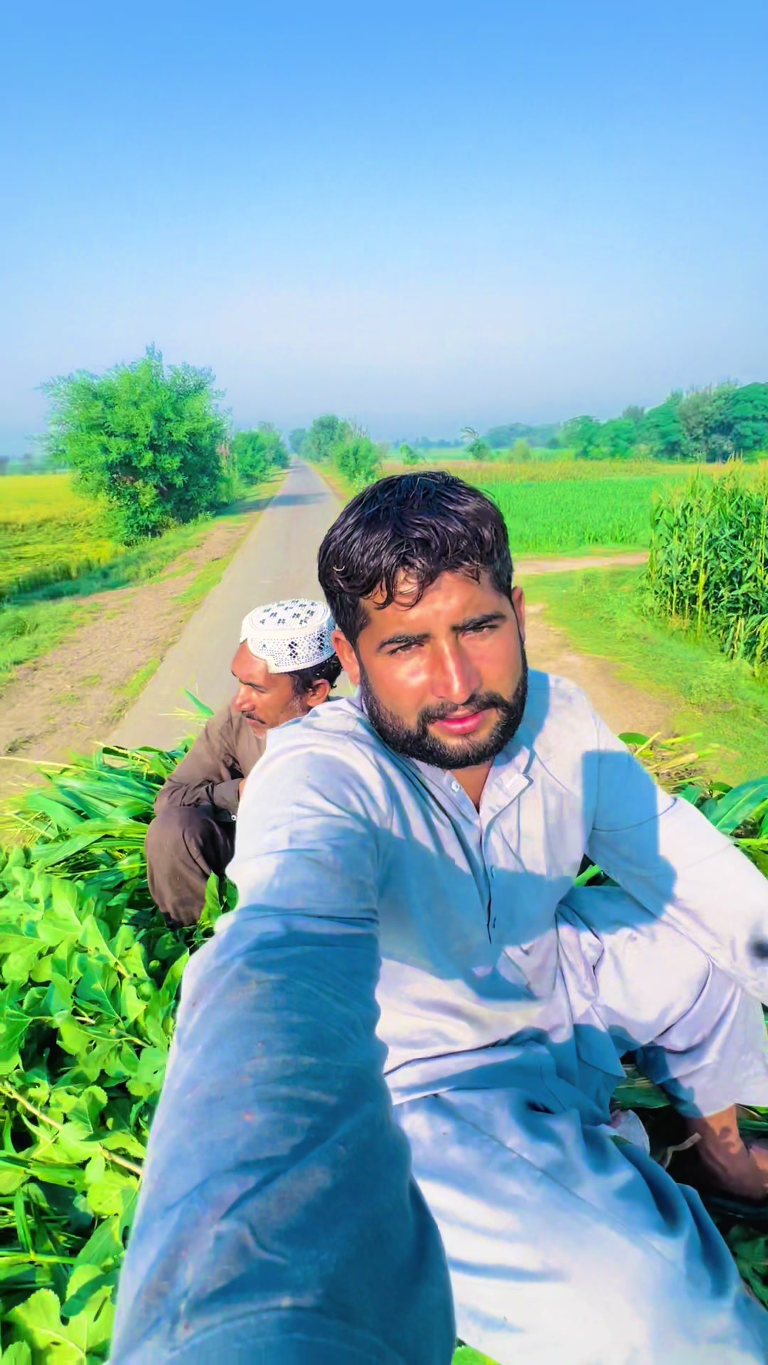 @پینڈو بوائز 378