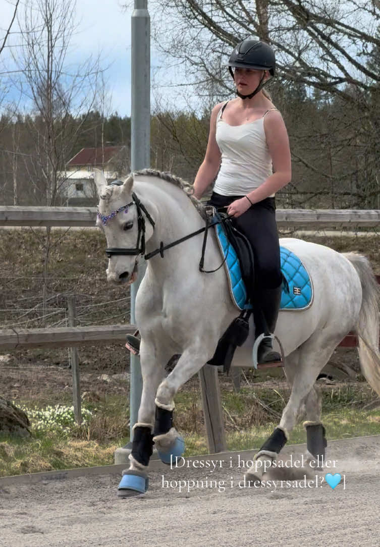 @🇸🇪Team Alslycka🇸🇪
