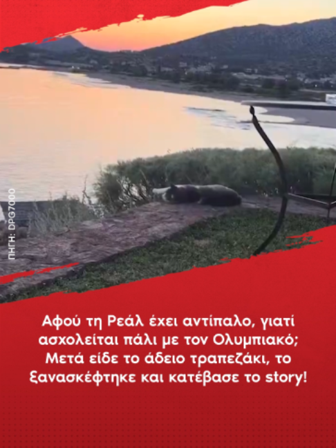 @redinfo.gr