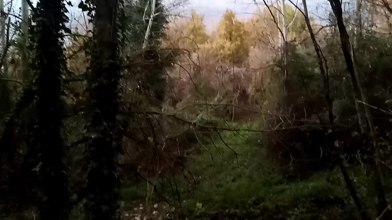 @Protezione Natura