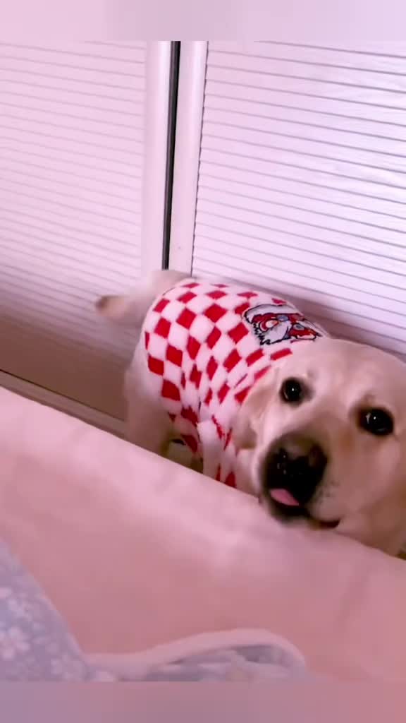 @Funny Cute