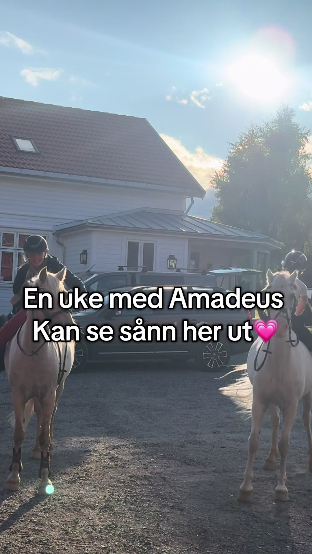@Thea & Amadeus🤍
