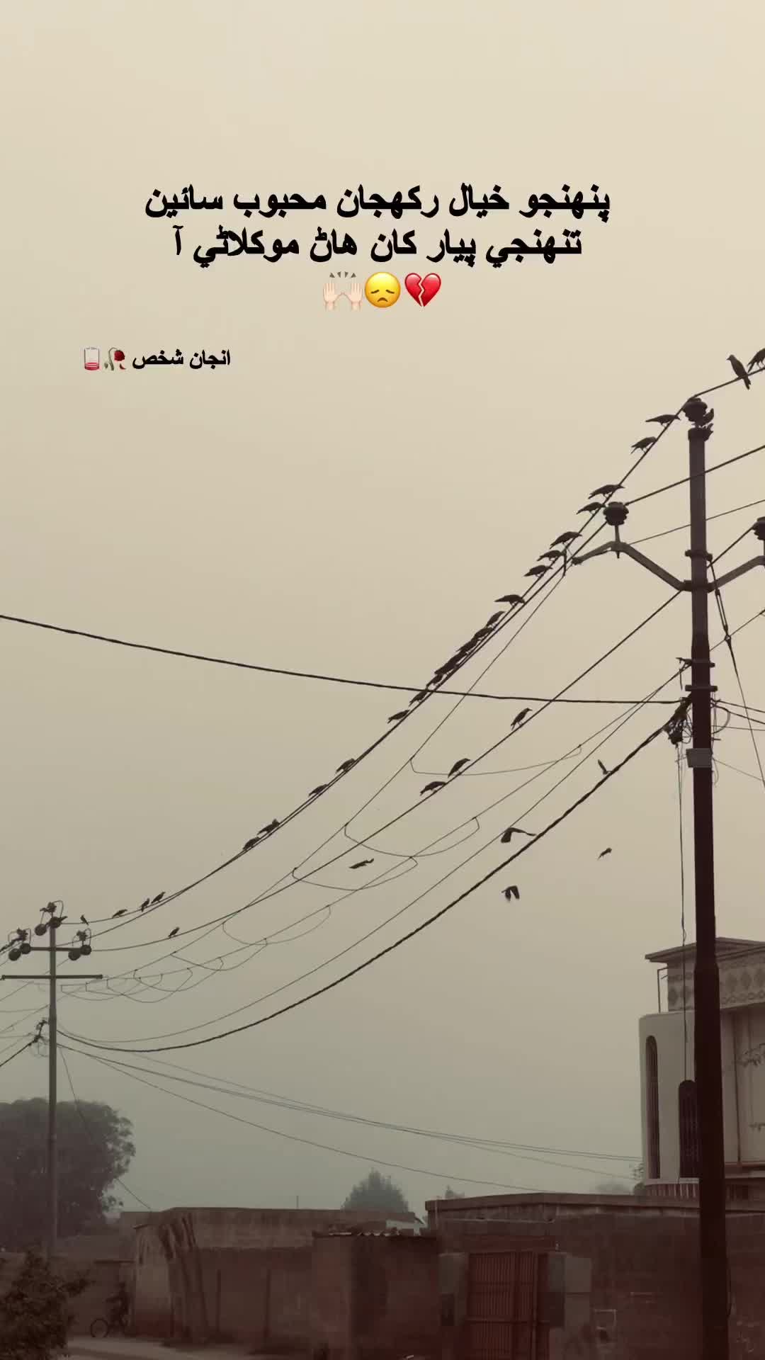@انجاں شخص 🌘