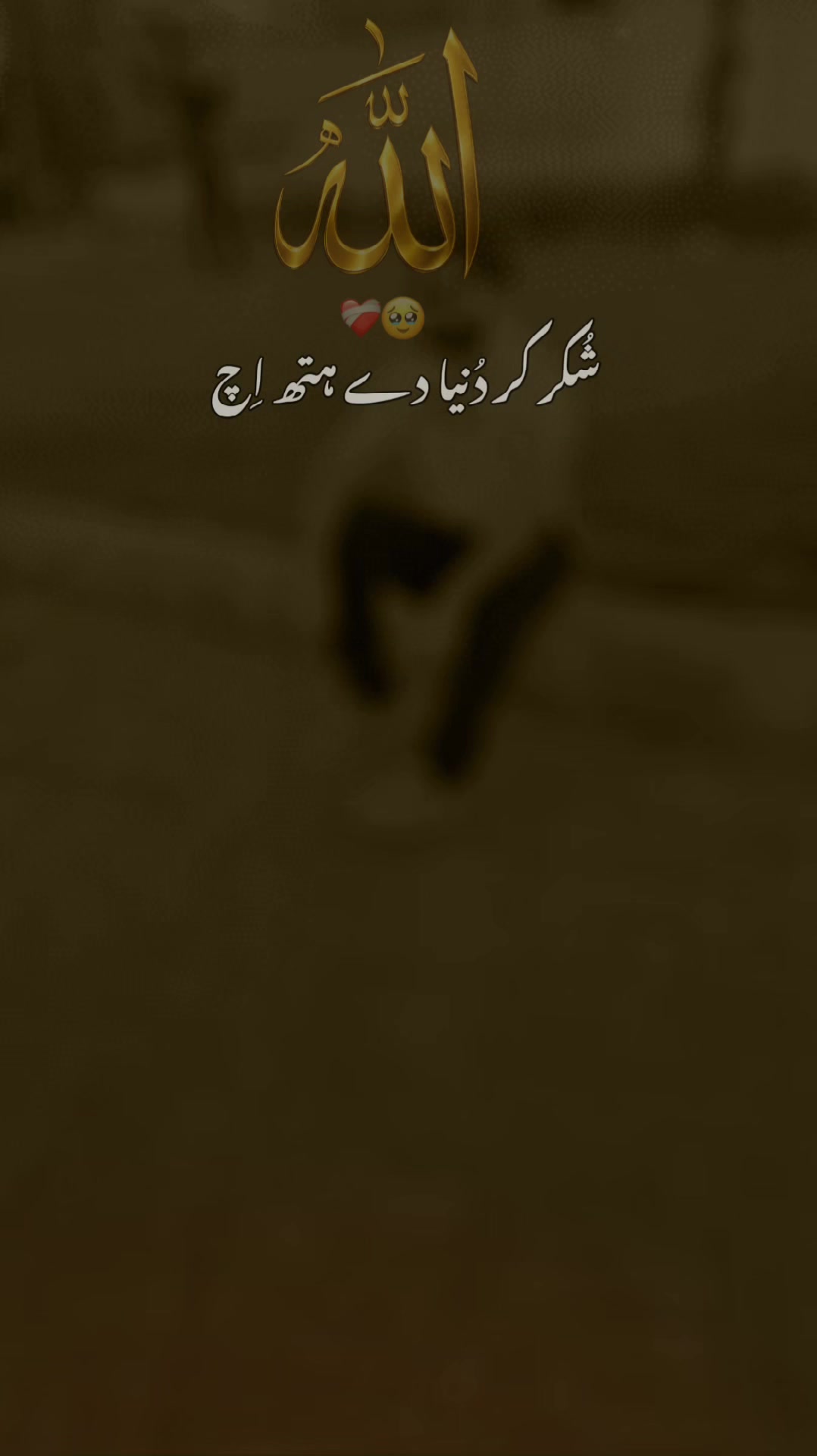 @Bagga Saroya 804