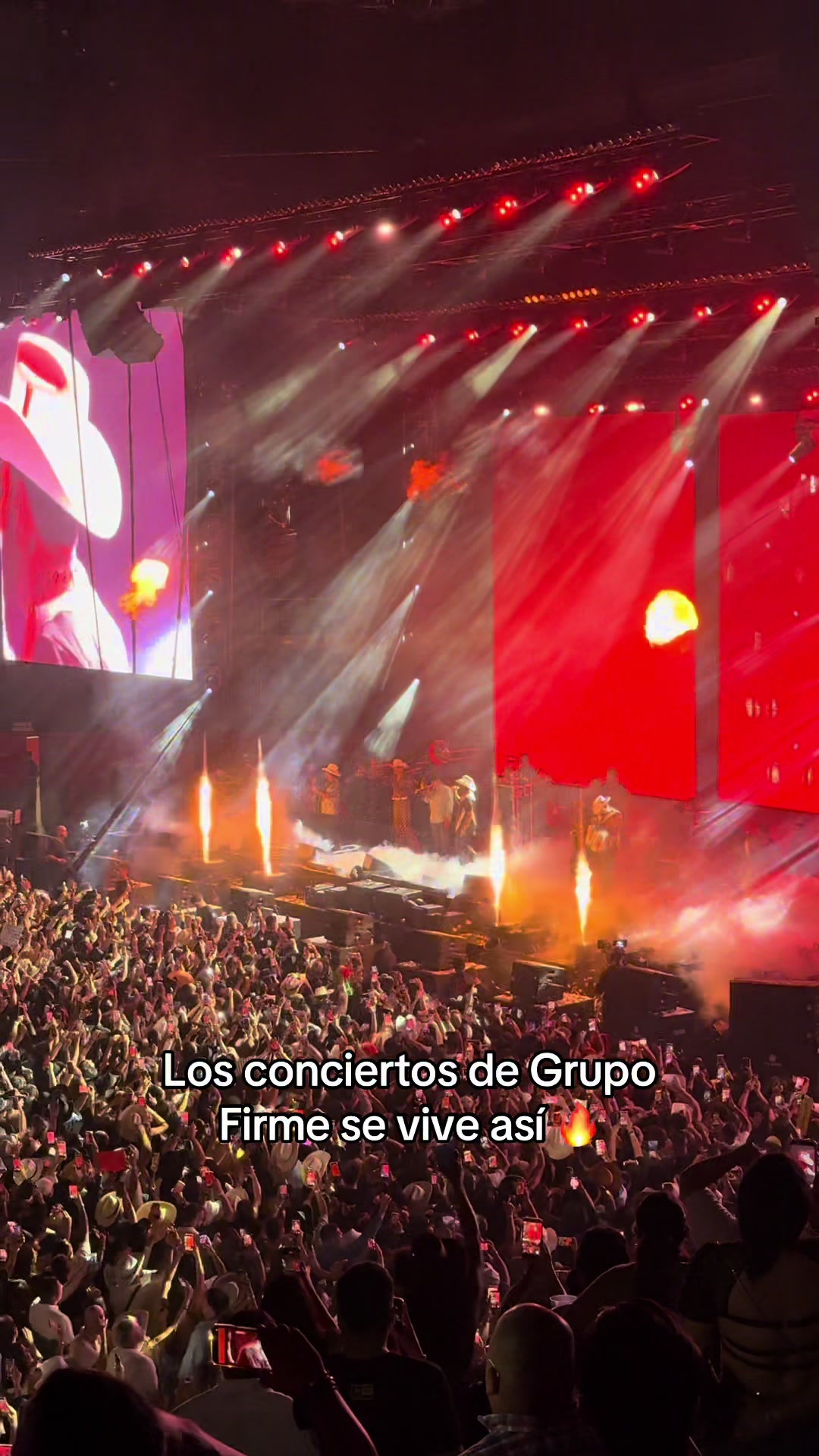 @Movistar Arena España