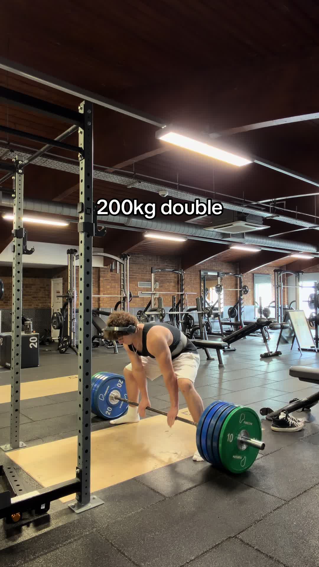 @anadrollie🧬