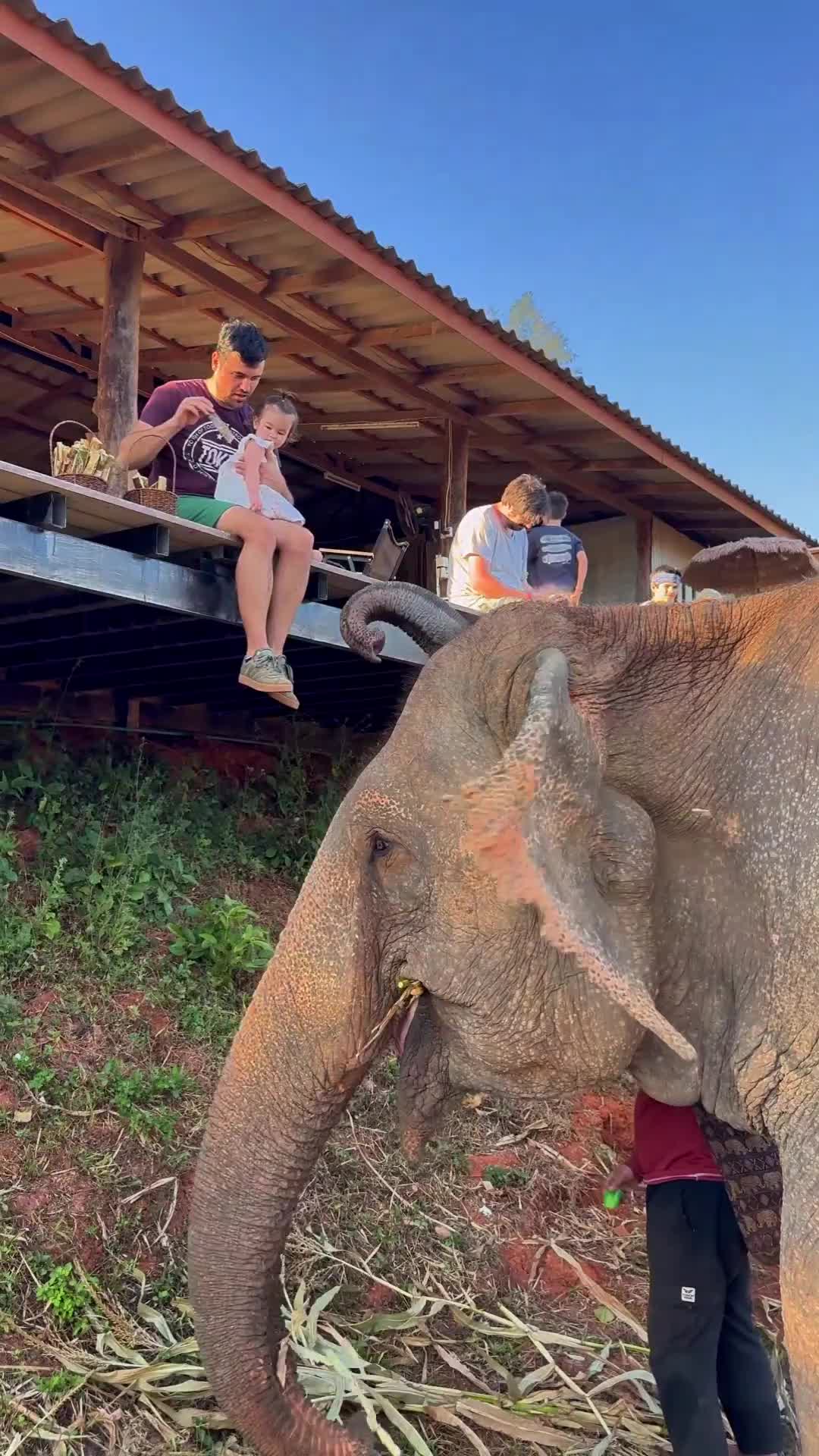 @Minnie Travels