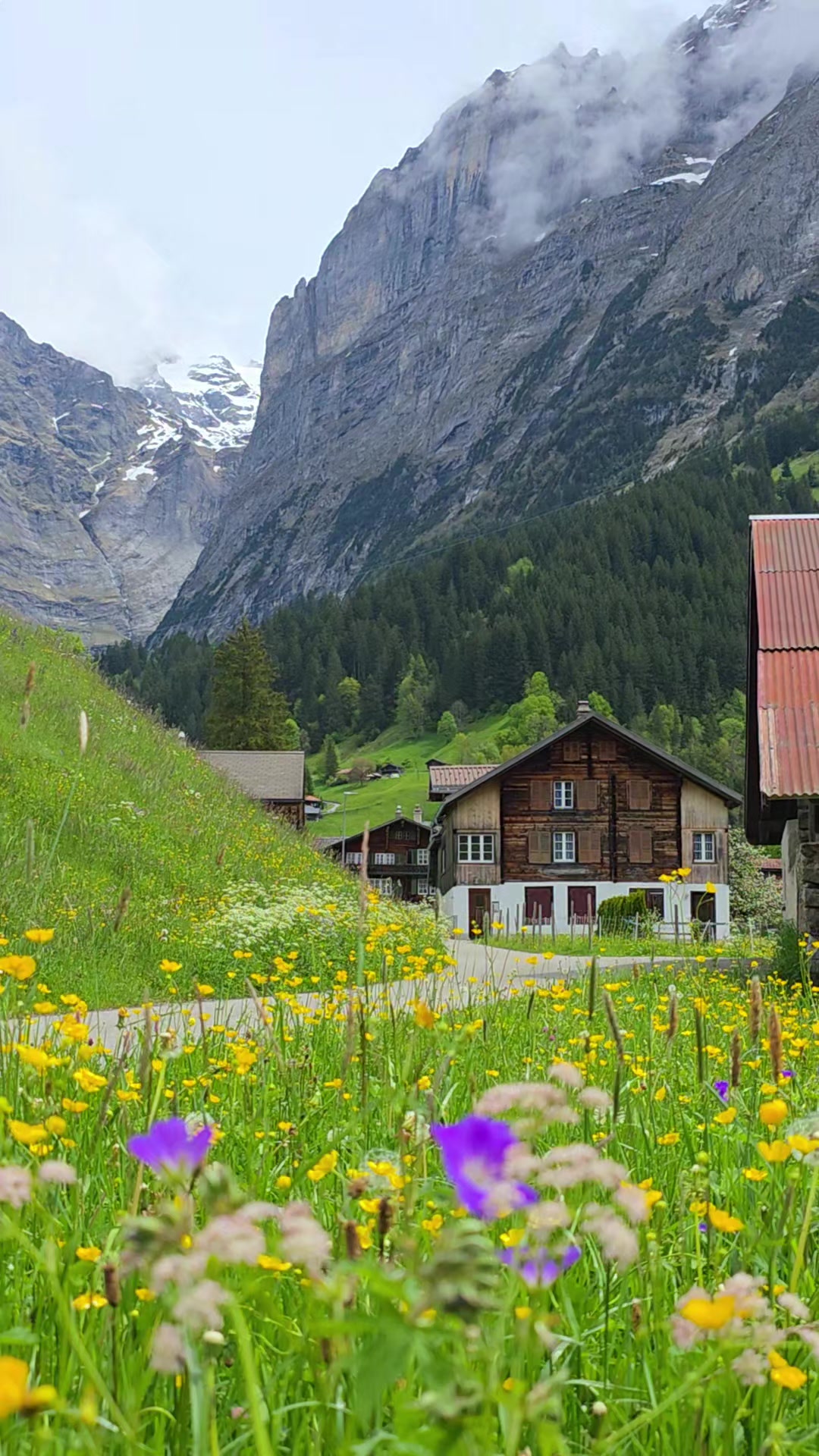 @Jui in Swiss