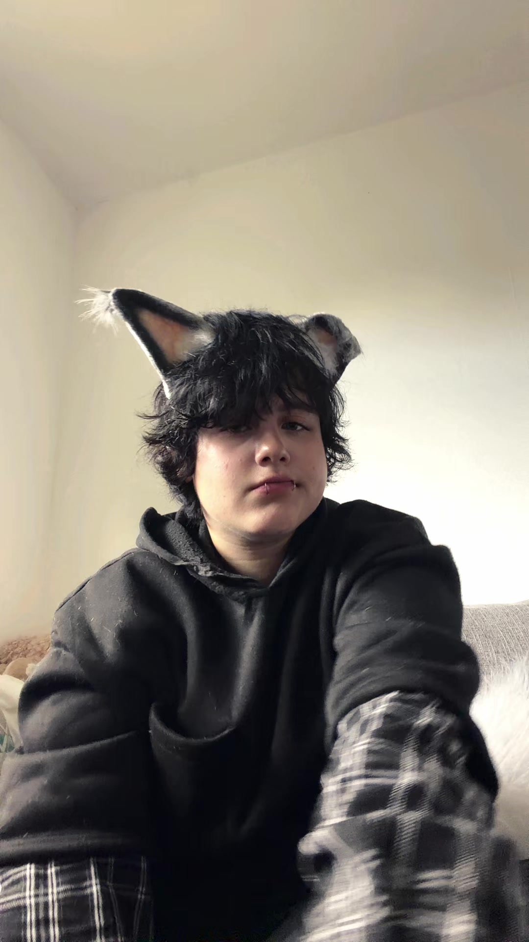 @fin.the.ghostiiie