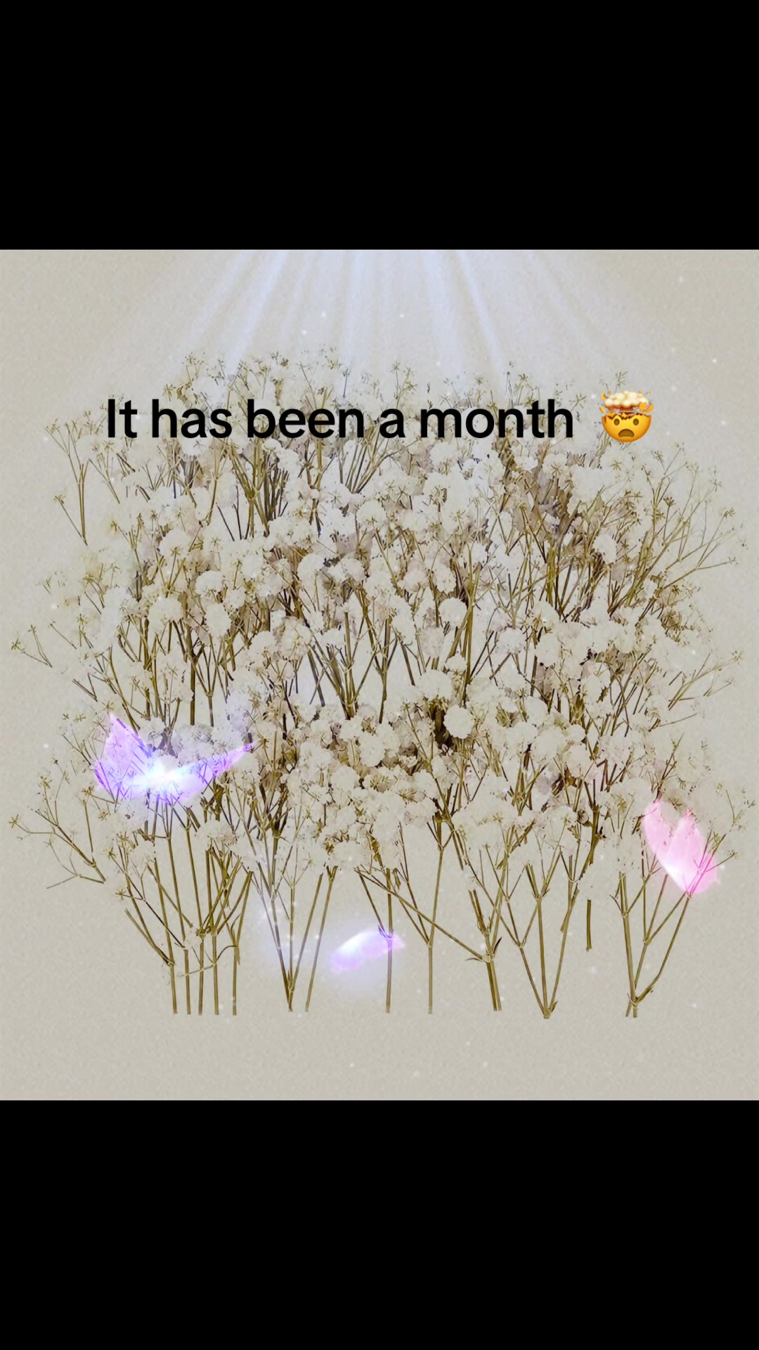 @PrettyPinkParcels