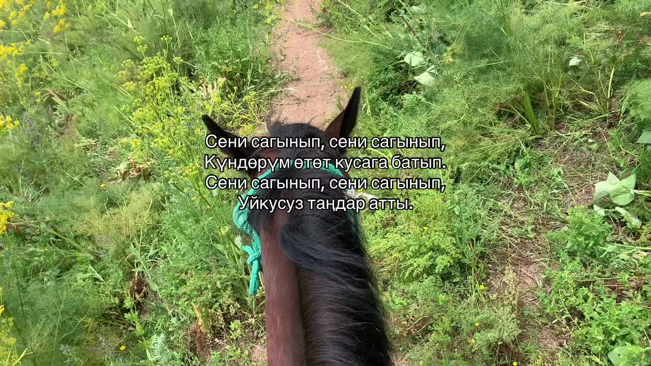 @nasirovа🇰🇬