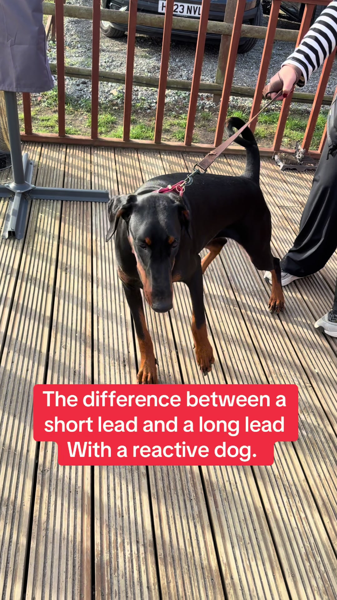@SouthendDogTraining